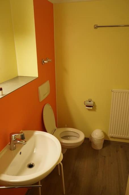 Appartement Mit Bademantelgang 巴特格里斯巴赫 外观 照片